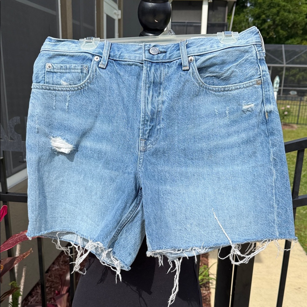 Everlane Light Blue Distressed Denim Cutoff Shorts